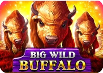 Big Wild Buffalo