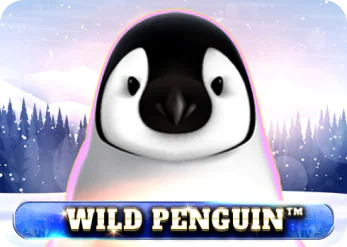 Wild Penguin